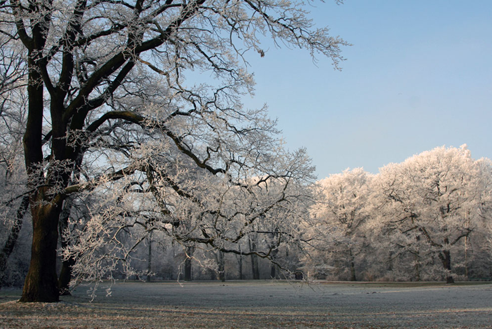 Bürgerpark Bremen