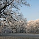 Bürgerpark Bremen