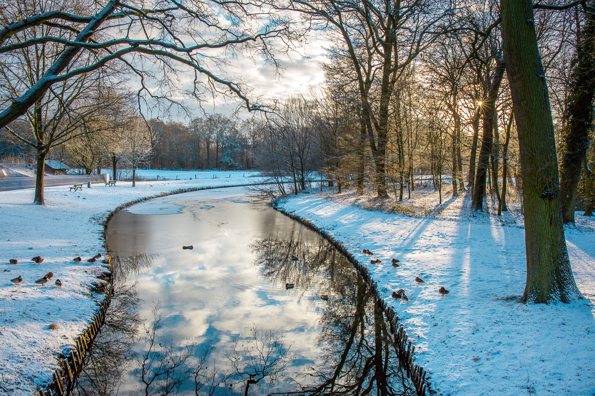 Bürgerpark Bremen III