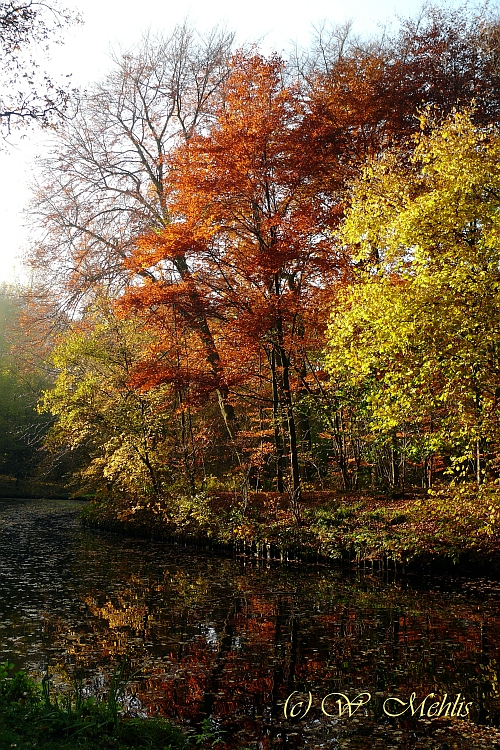 Bürgerpark Bremen im Herbst