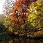 Bürgerpark Bremen im Herbst