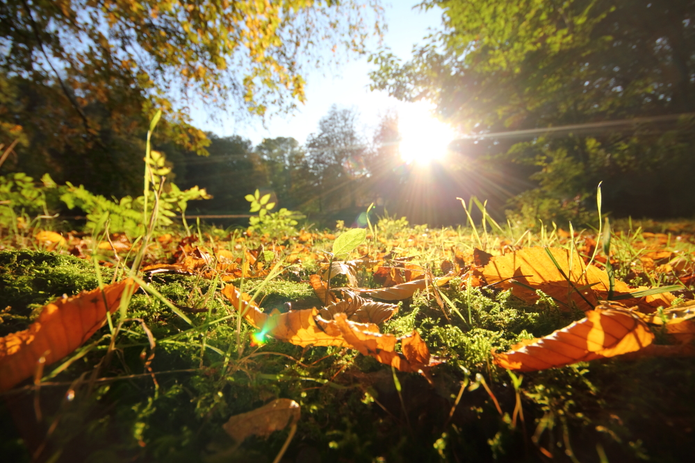 Bürgerpark Bremen Seeblick