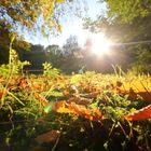 Bürgerpark Bremen Seeblick