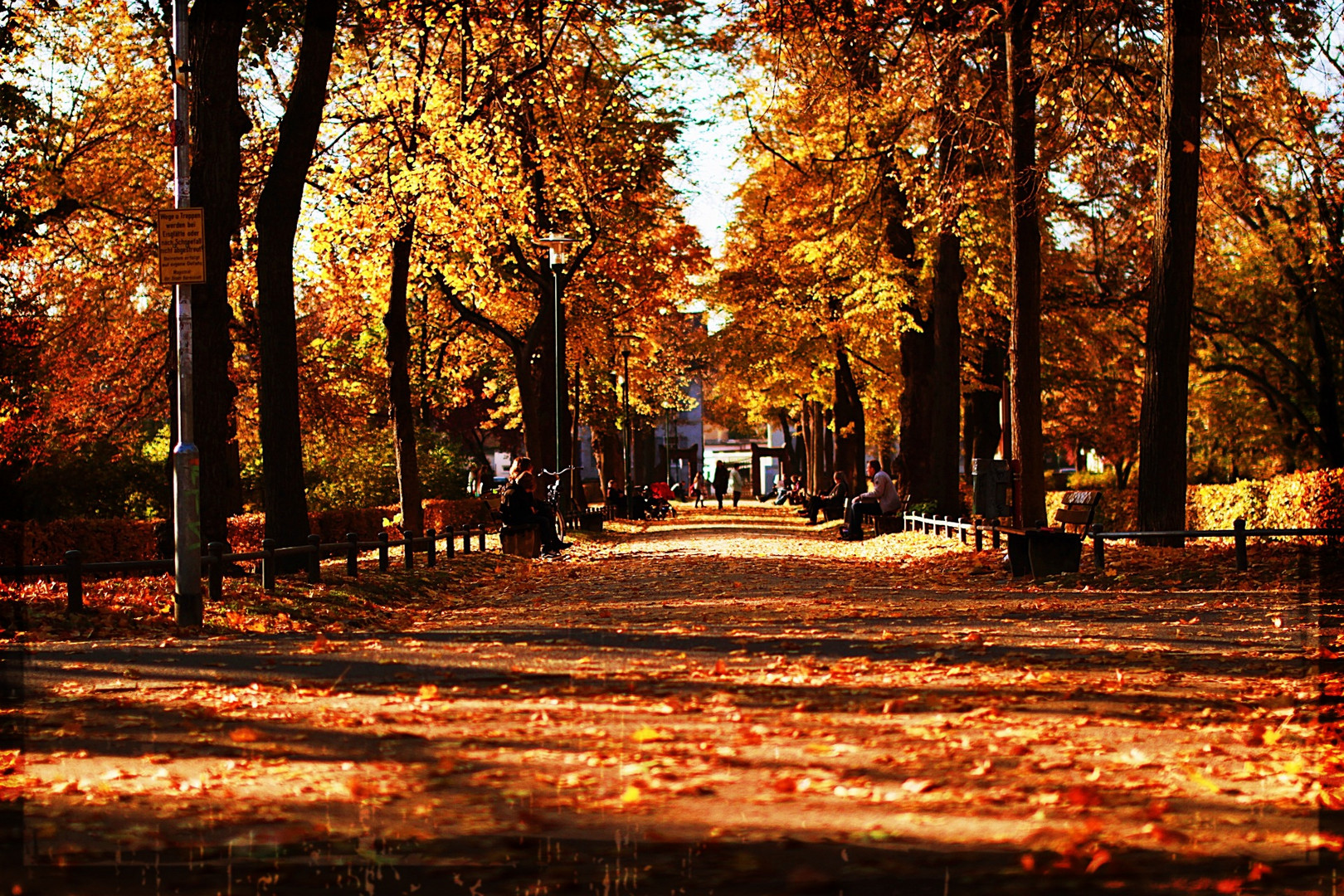 Bürgerpark im Herbst