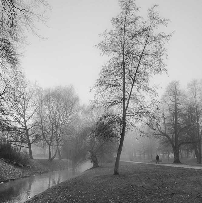 Bürgerpark im Nebel 2