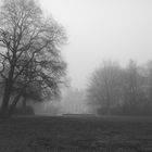 Bürgerpark im Nebel