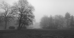 Bürgerpark im Nebel