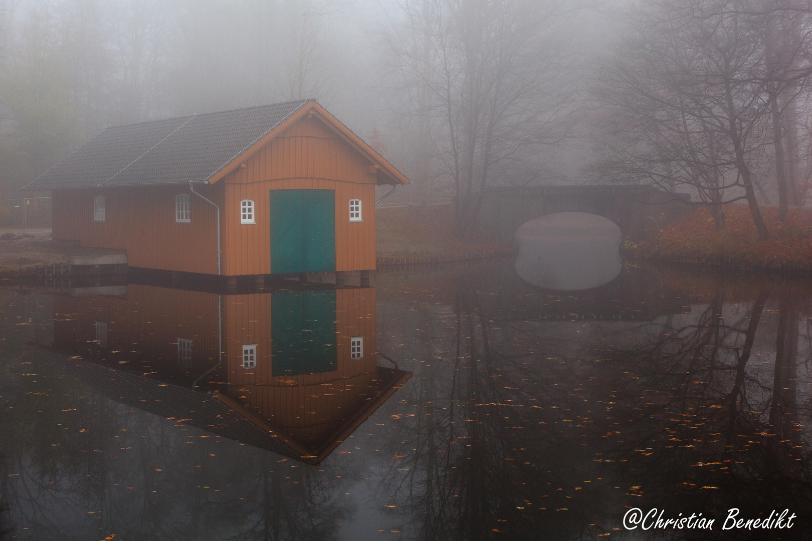 Bürgerpark im Nebel I