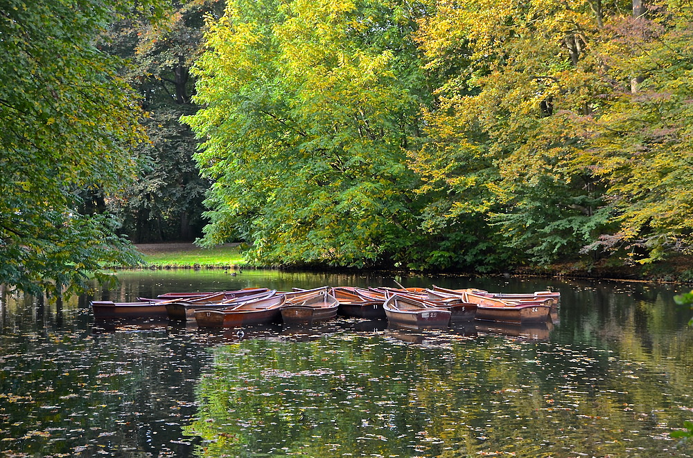 Bürgerpark im Oktober