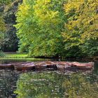 Bürgerpark im Oktober