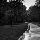 Bürgerpark im Regen