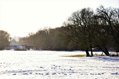 Bürgerpark im Winter