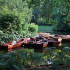 Bürgerpark in Bremen