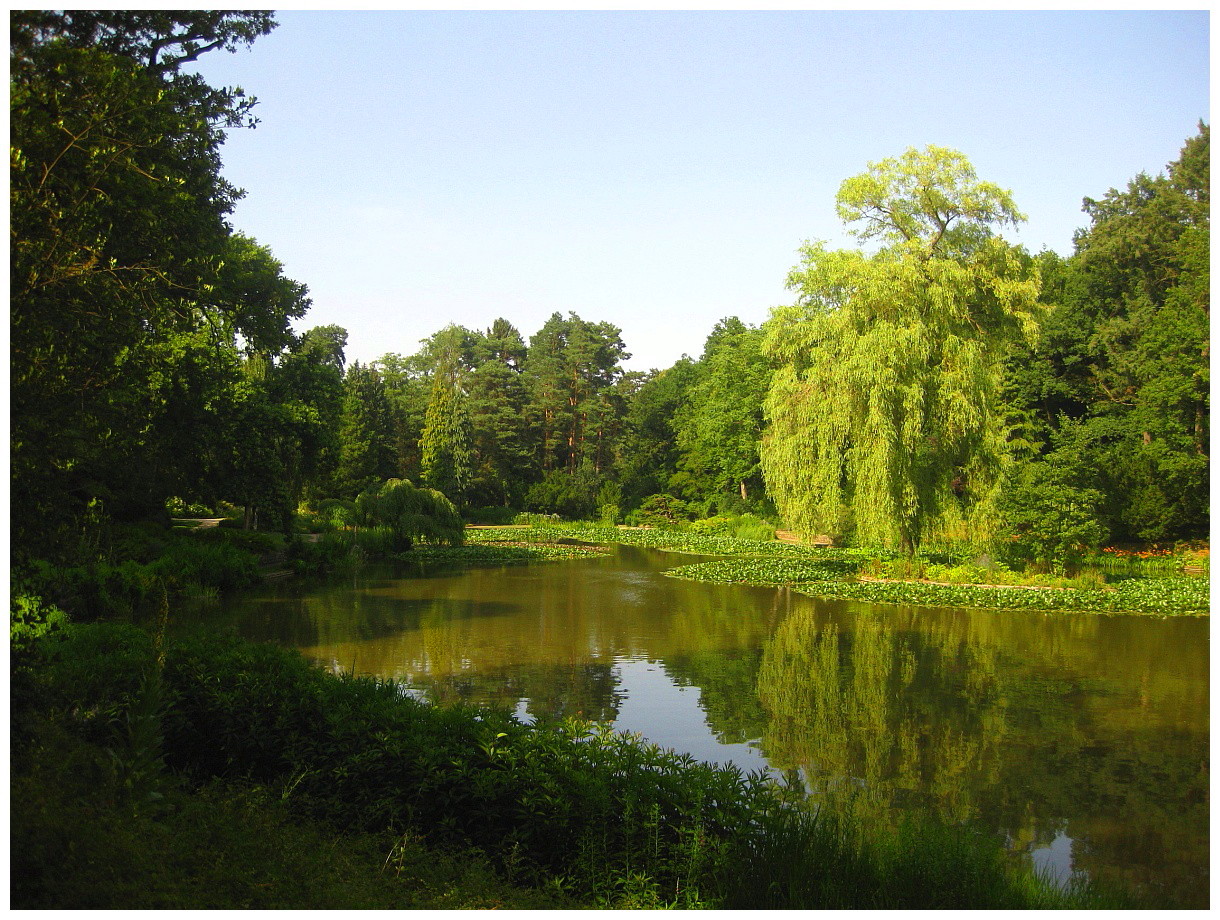 Bürgerpark Luisenhain Bamberg