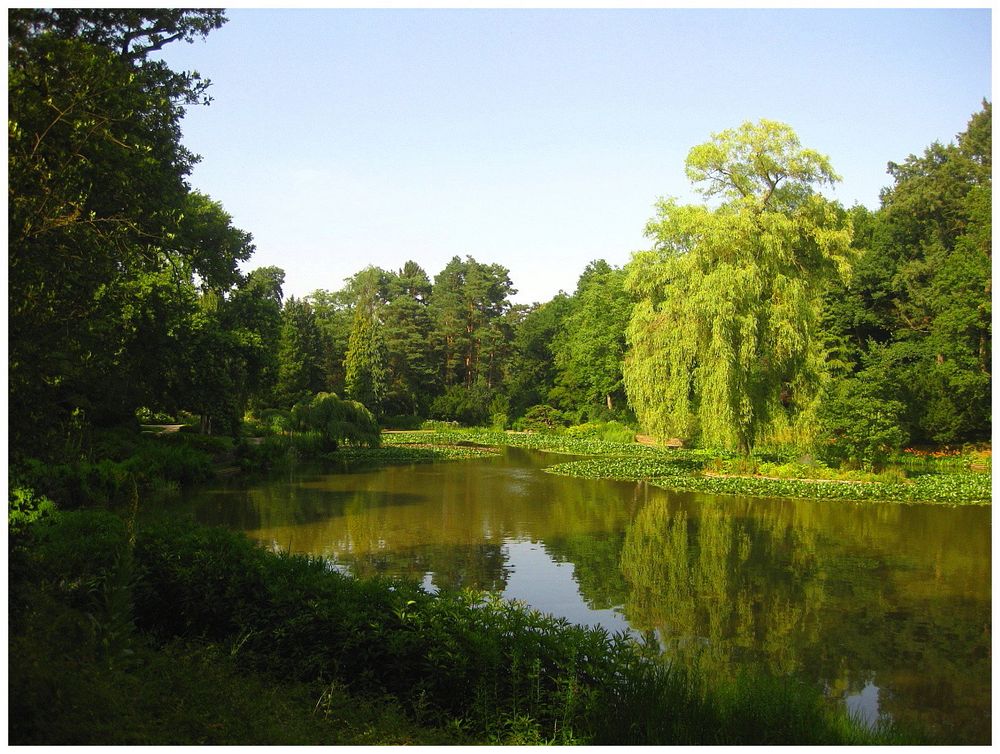 Bürgerpark Luisenhain Bamberg