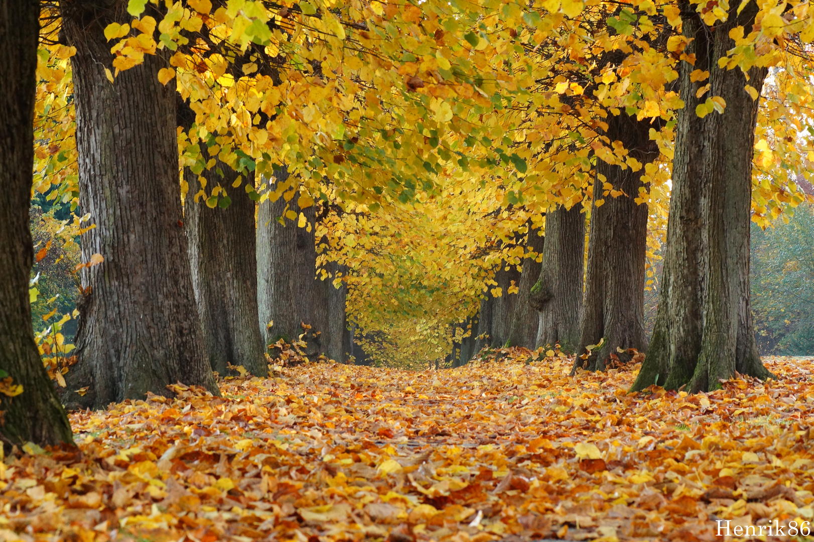 Bürgerpark Osnabrück - November 2015