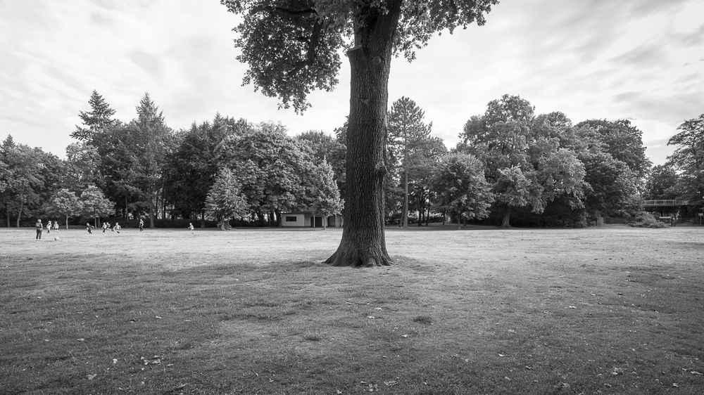 Bürgerpark Panko