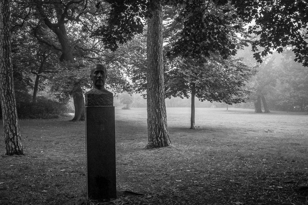 Bürgerpark Pankow
