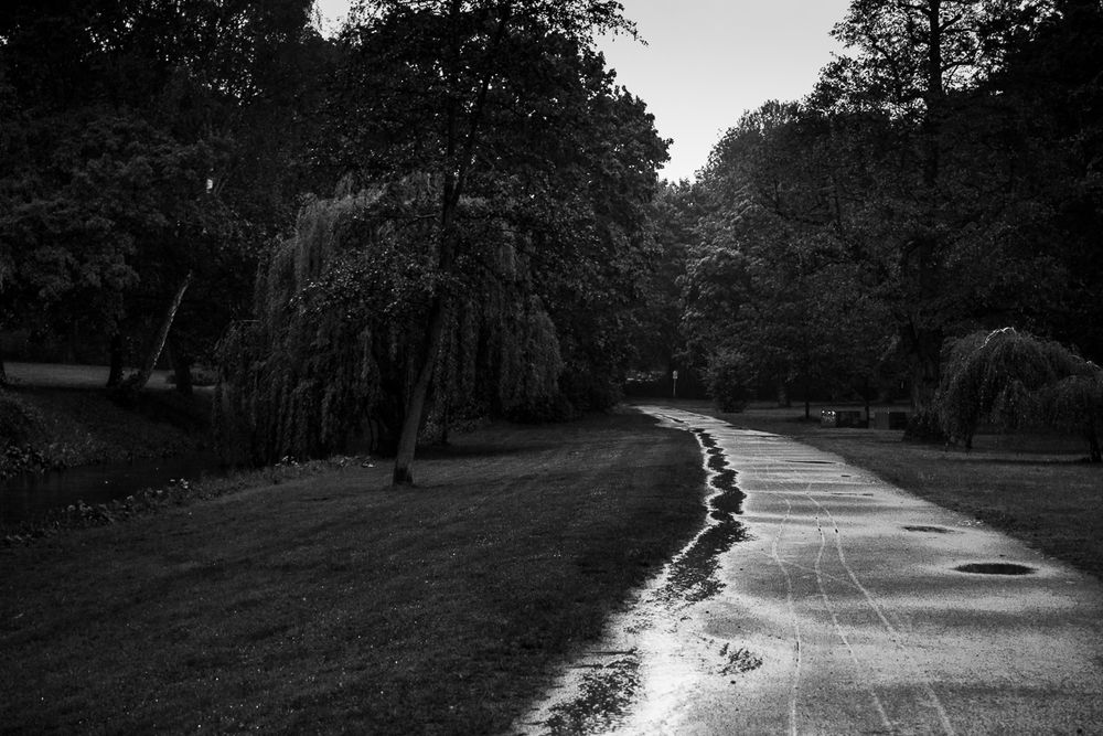 Bürgerpark Pankow
