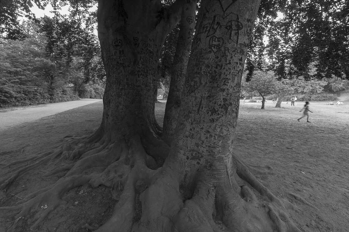 Bürgerpark Pankow I