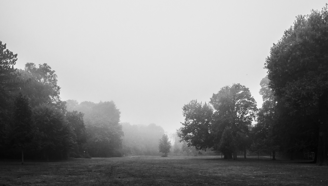 Bürgerpark Pankow im morgendlichen Nebel