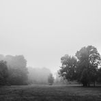 Bürgerpark Pankow im morgendlichen Nebel