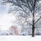 Bürgerpark Pankow im Winter