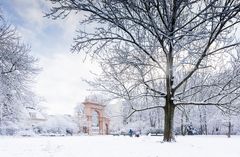 Bürgerpark Pankow im Winter
