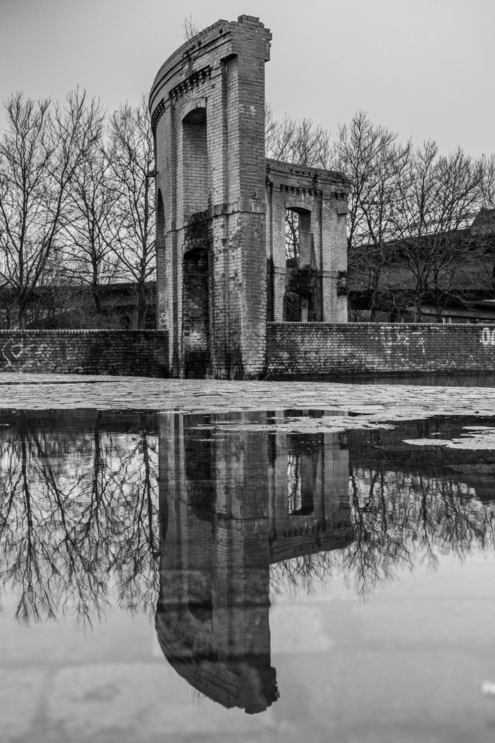 Bürgerpark Saarbrücken 2