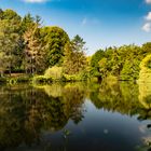 Bürgerparkpanorama