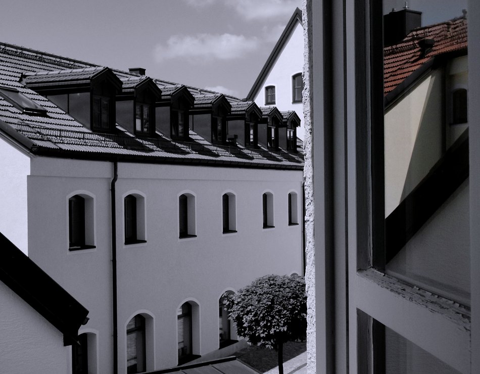 Büro . Fenster . Blick . Bio²