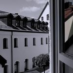 Büro . Fenster . Blick . Bio²