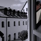 Büro . Fenster . Blick . Bio²