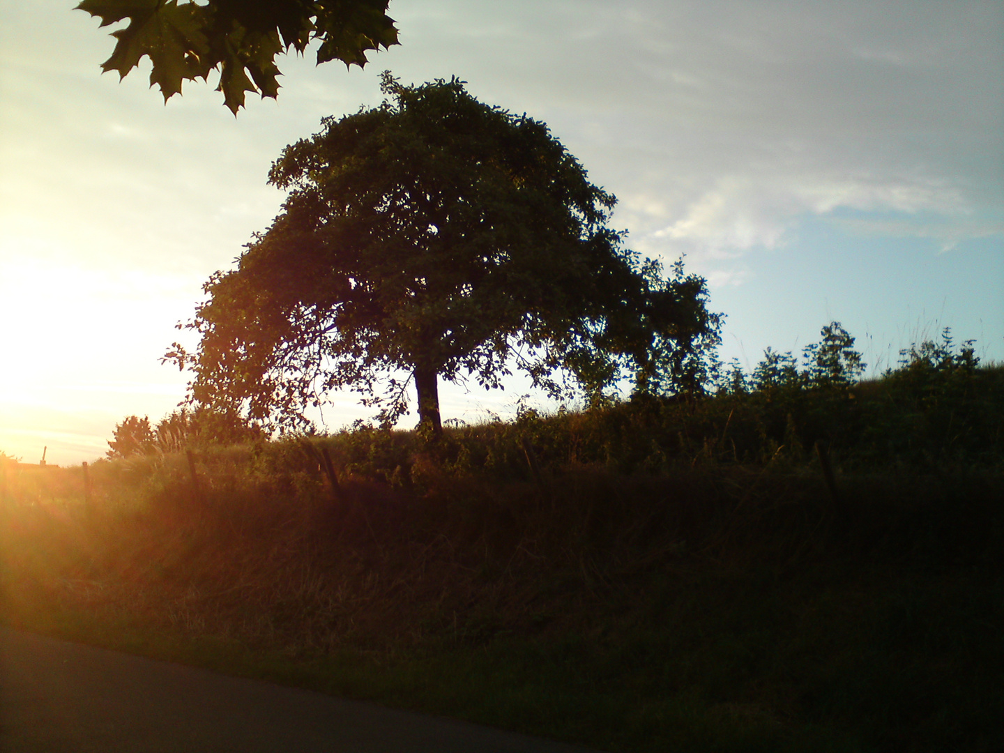 Bürvenich Foto & Bild jahreszeiten, sommer, natur Bilder auf