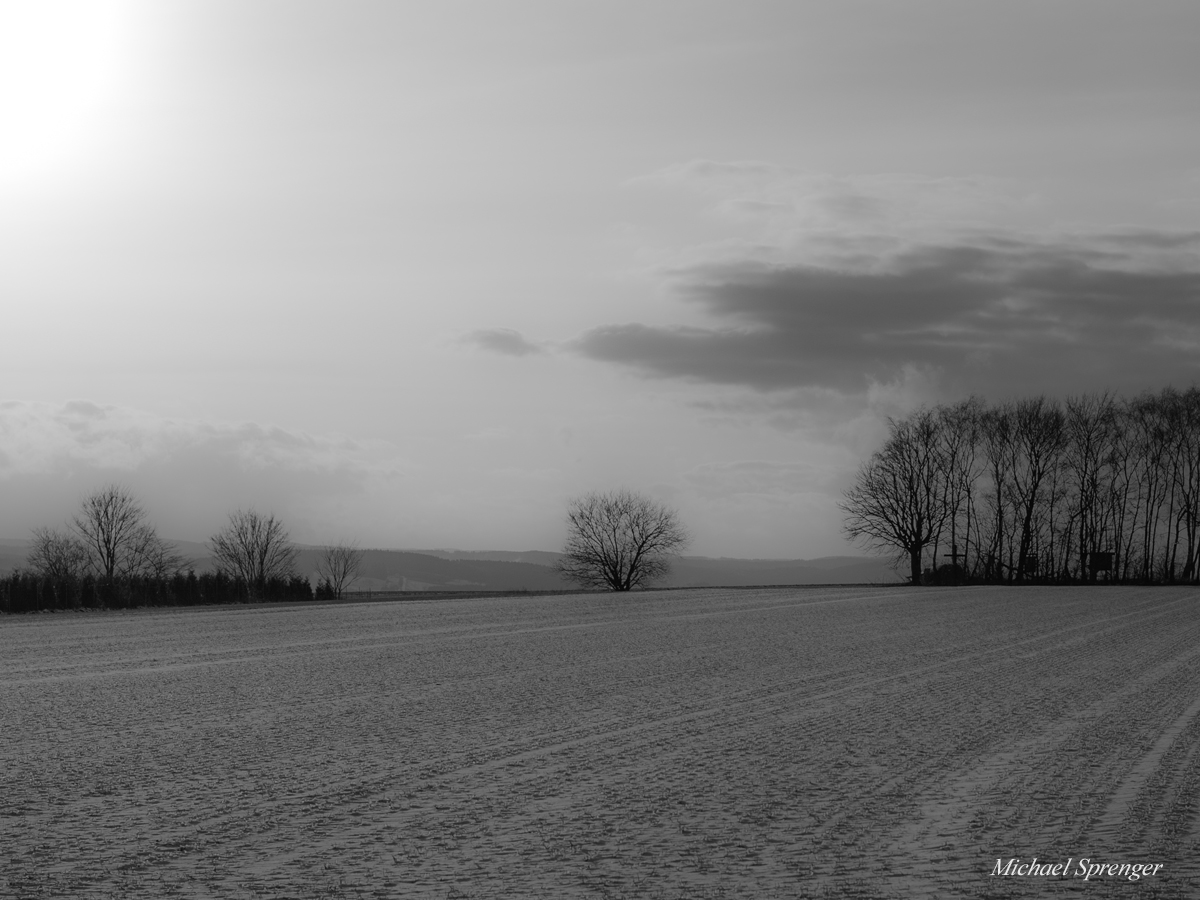 Büsche und Bäume am Haarstrang