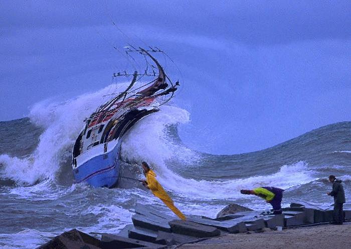 Büschen viel Wind heute