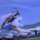 Büschen viel Wind heute