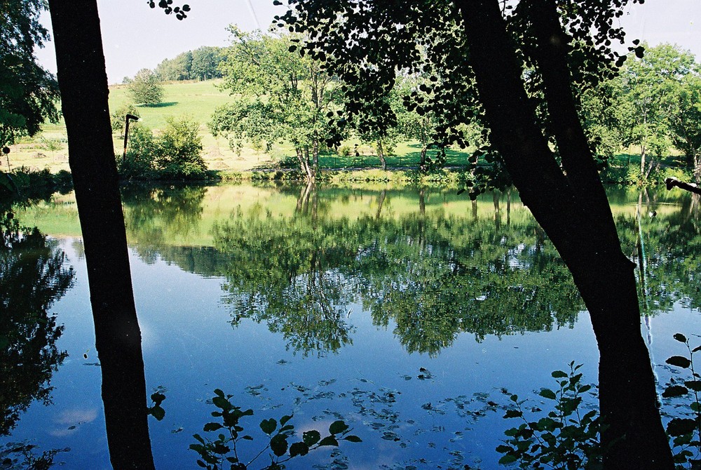 Büscher Weiher Foto & Bild landschaft, bach, fluss & see, see, teich