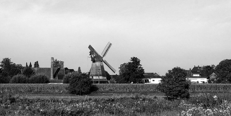 Büschings Mühle in Petershagen