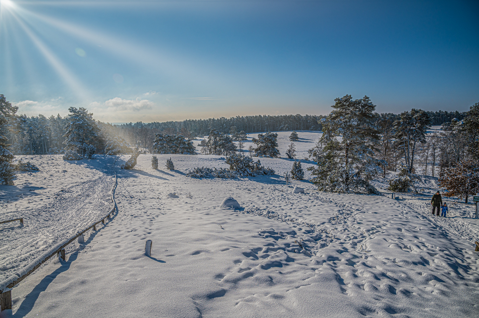 Büsenbachtal - Blick von Pferdekopf