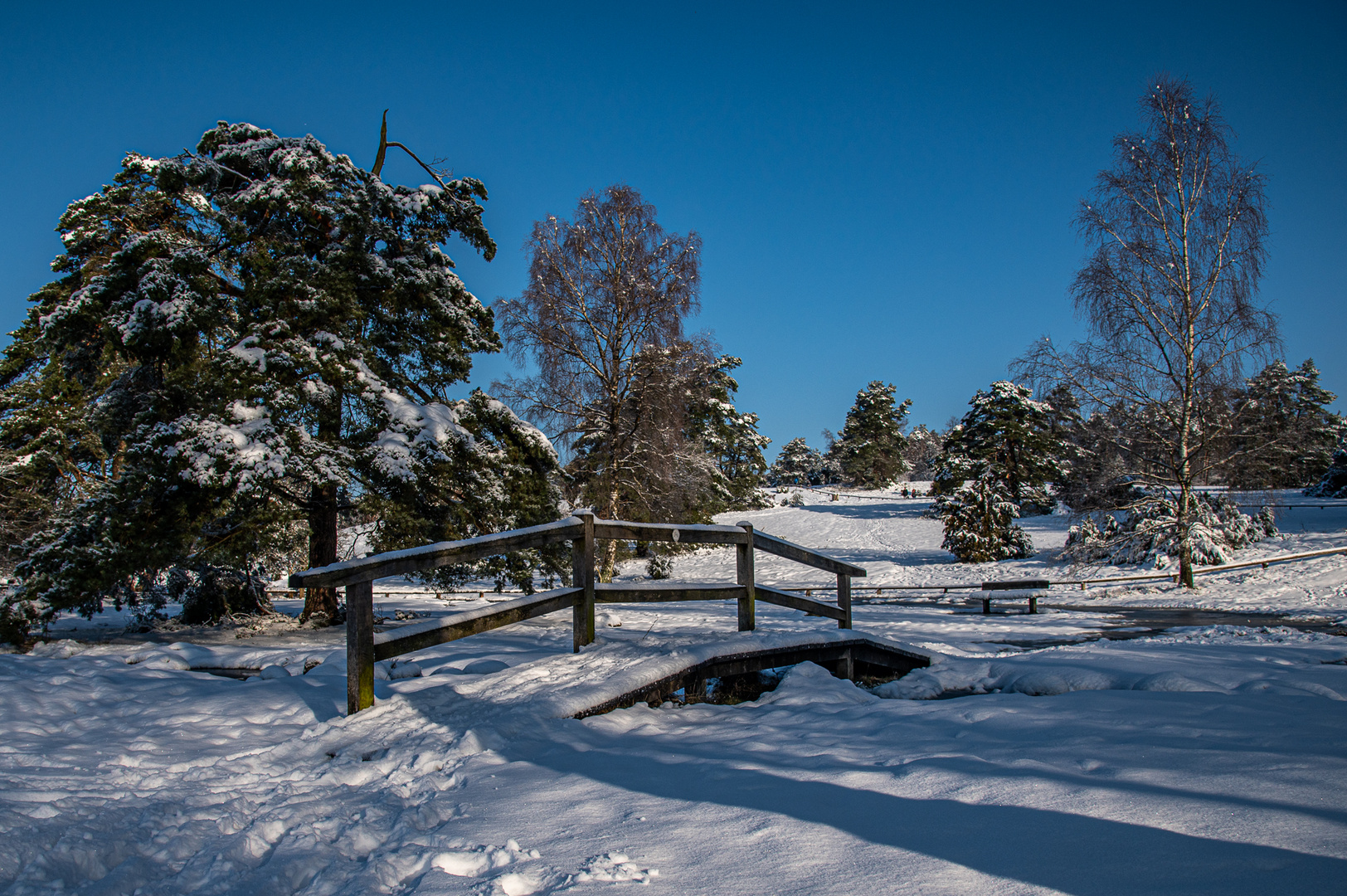 Büsenbachtal - Der Steg