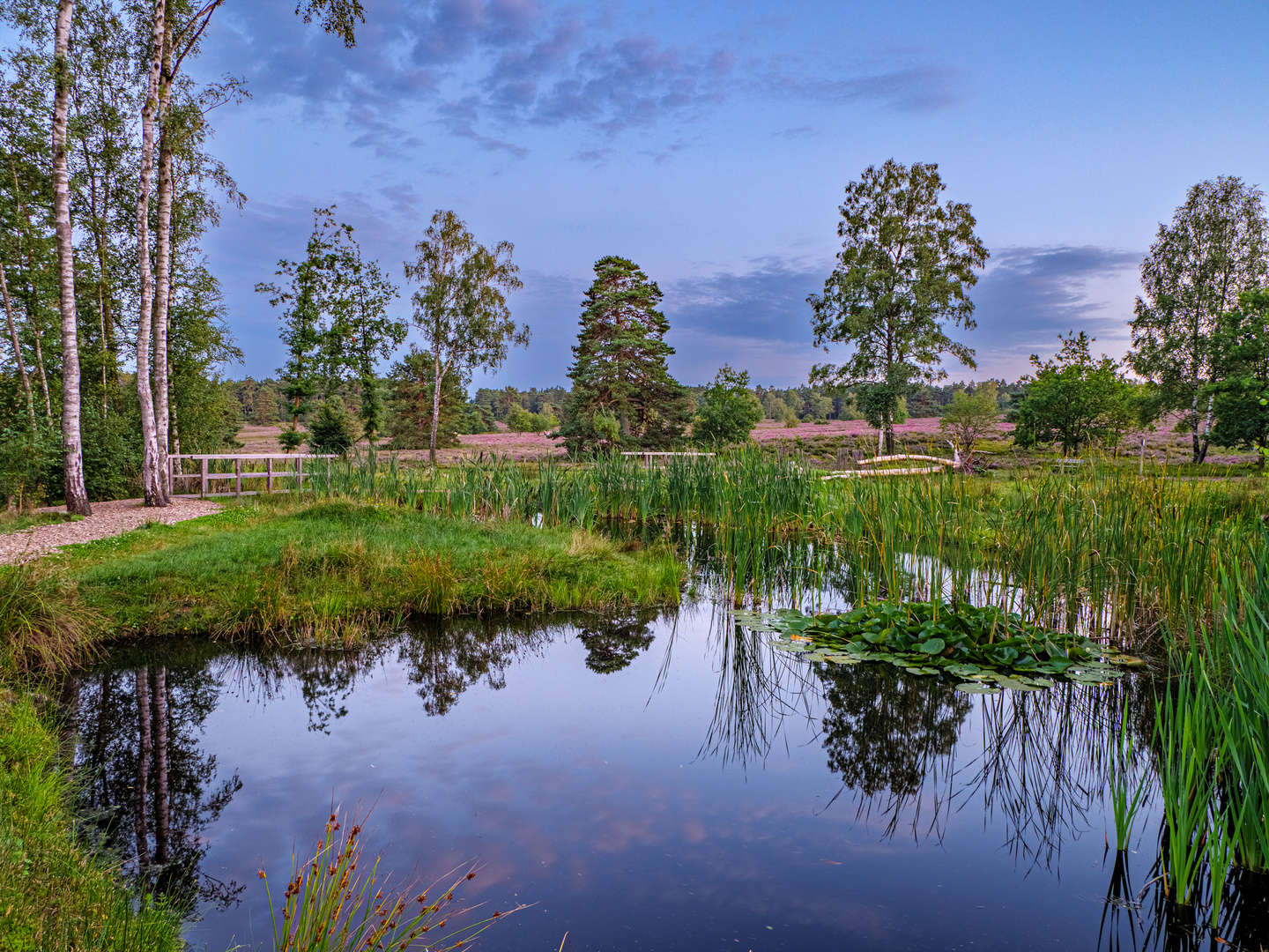 Büsenbachtal mit Spiegelung