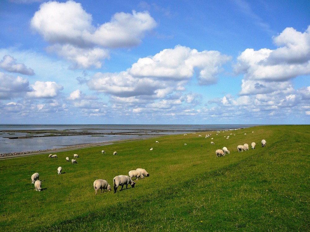 Büsum 2007 - 3