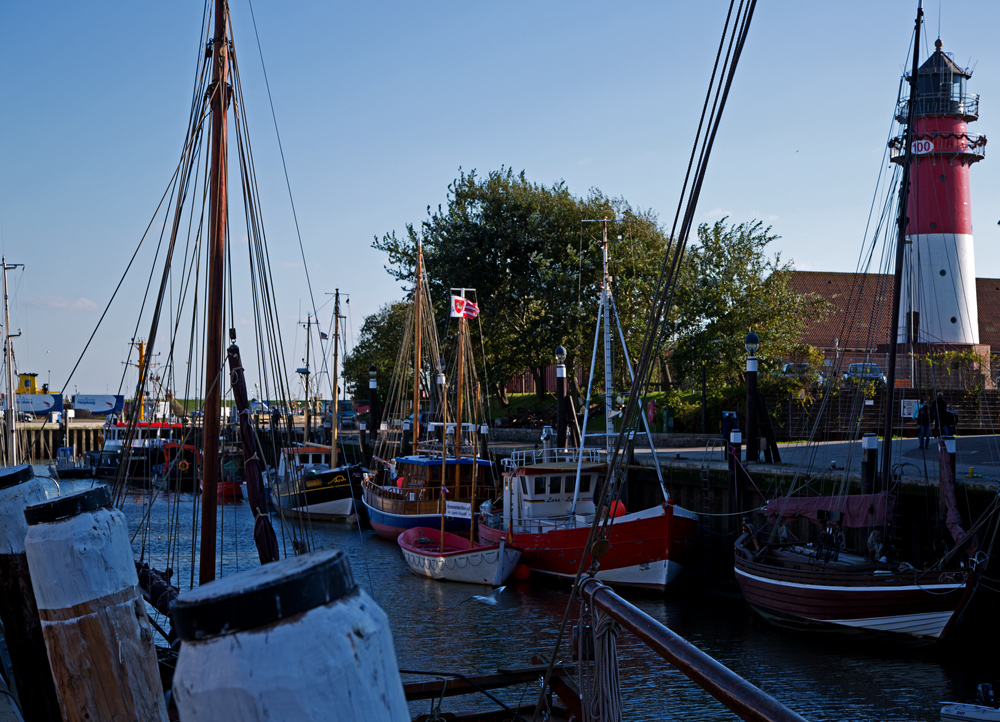 Büsum und der Krabbenirrsinn