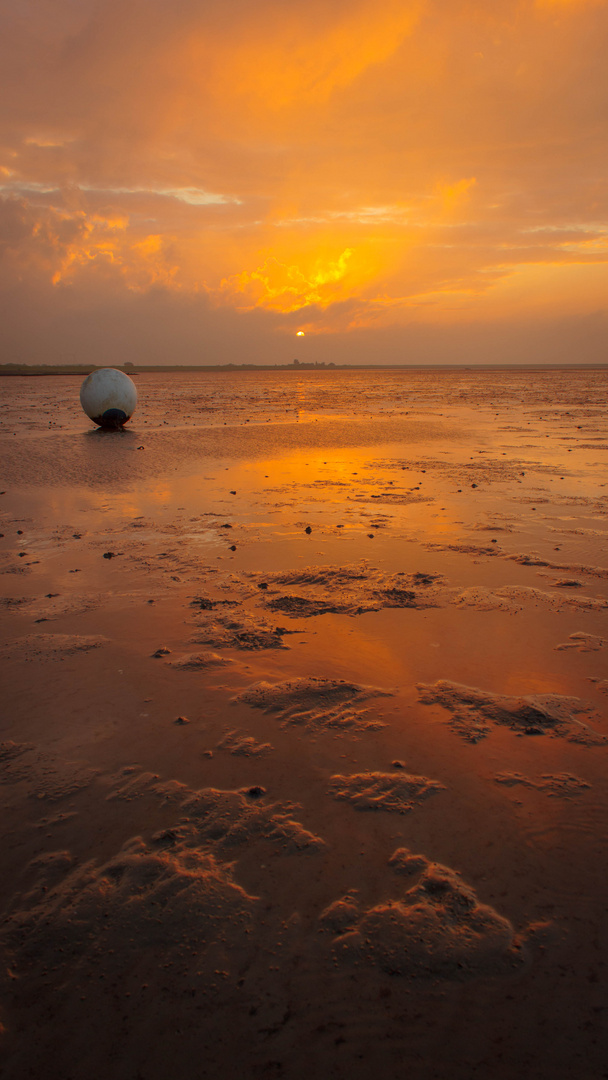 Büsum - Watt für n Sonnenaufgang