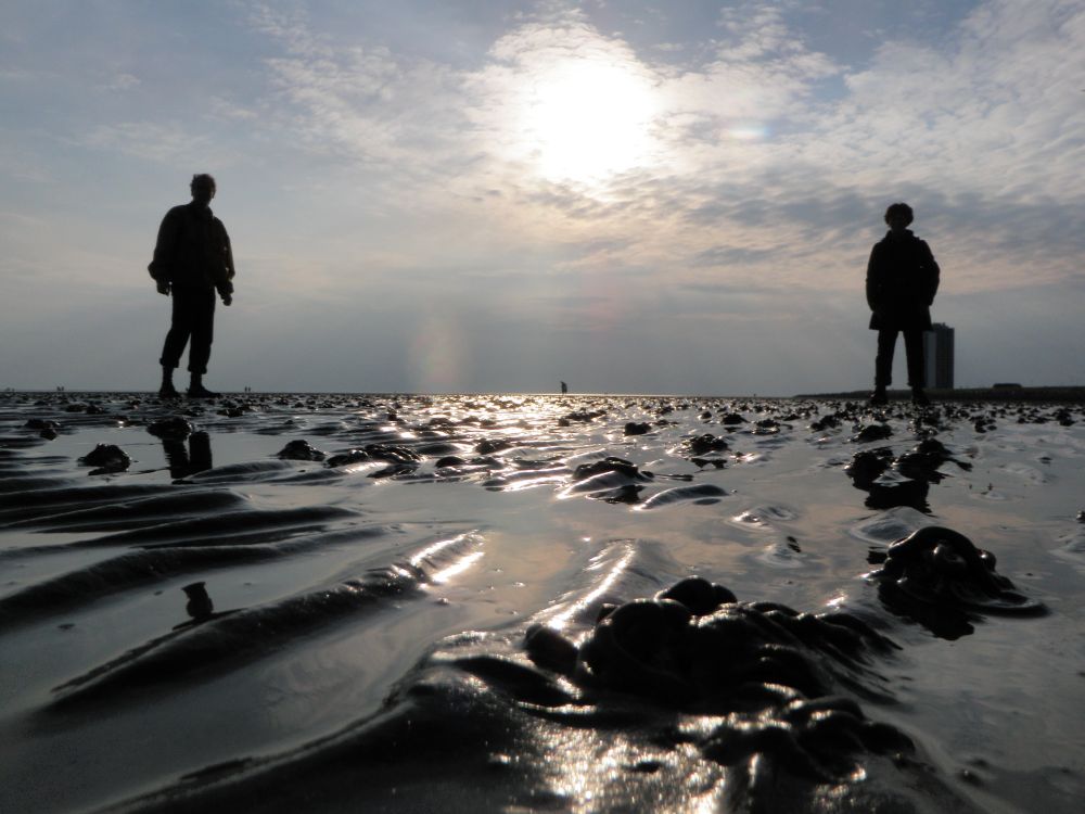 Büsum, Wattwanderung