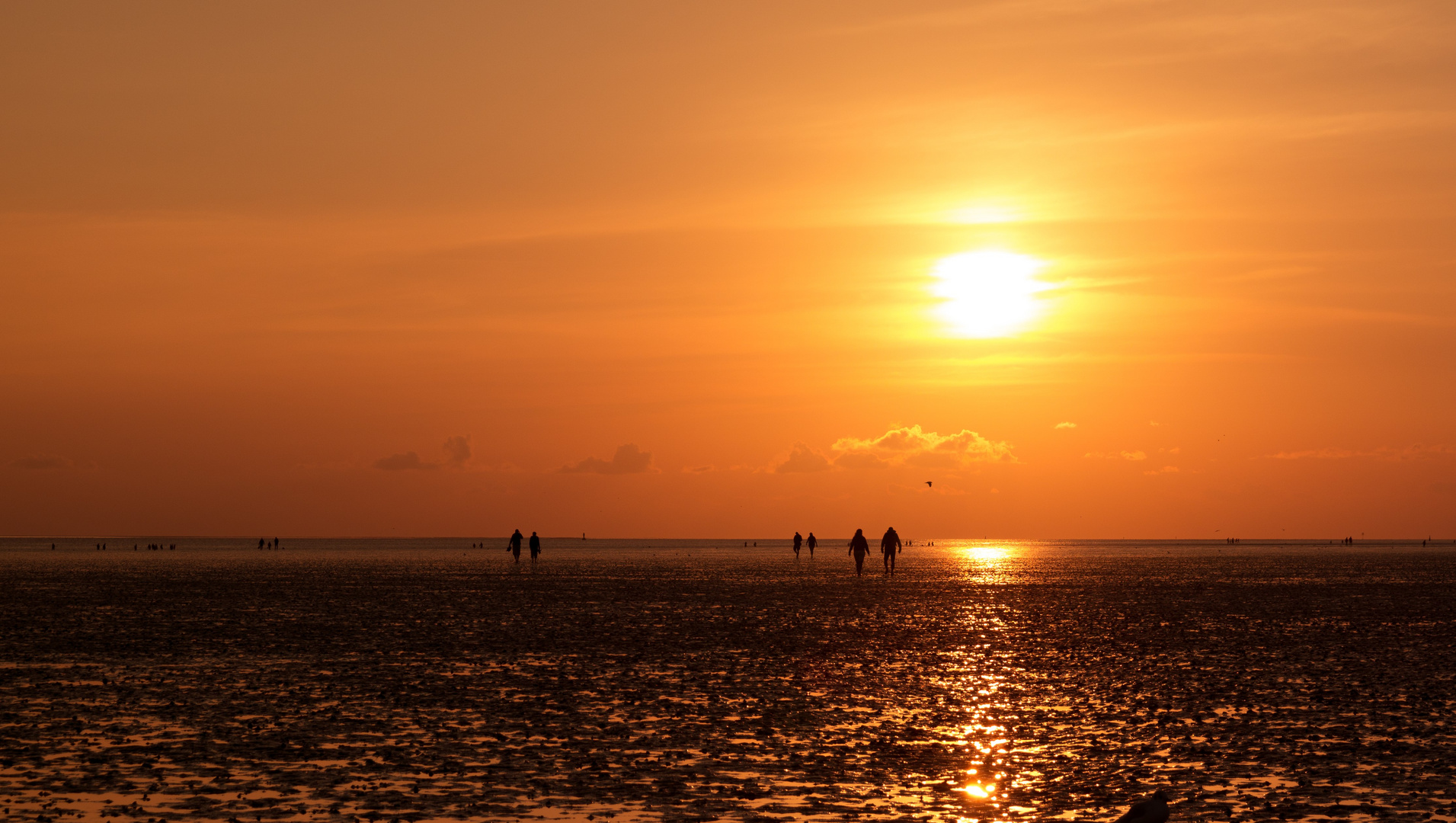 Büsum/Wattwanderung