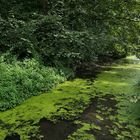 Büttelborn: Der Landgraben 01