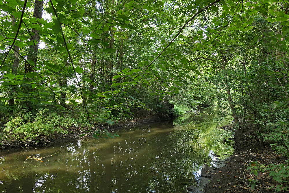 Büttelborn: Der Landgraben 02