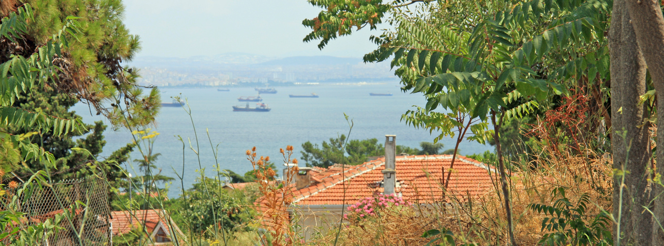 Büyükada (große Insel )